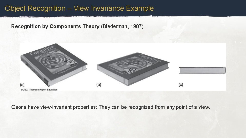 Object Recognition – View Invariance Example Recognition by Components Theory (Biederman, 1987) Geons have