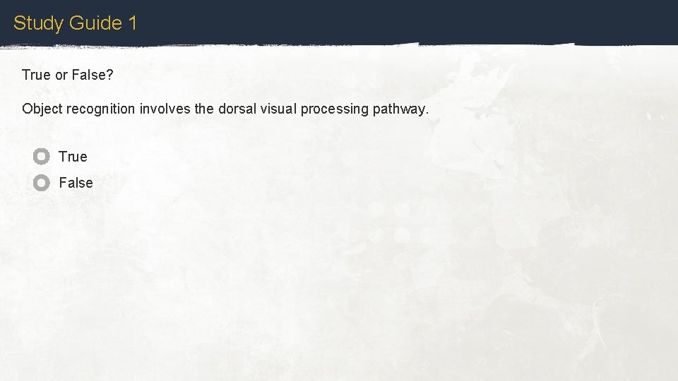 Study Guide 1 True or False? Object recognition involves the dorsal visual processing pathway.