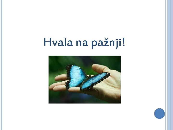 Hvala na pažnji! 