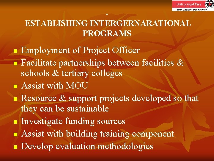 ESTABLISHING INTERGERNARATIONAL PROGRAMS n n n n Employment of Project Officer Facilitate partnerships between