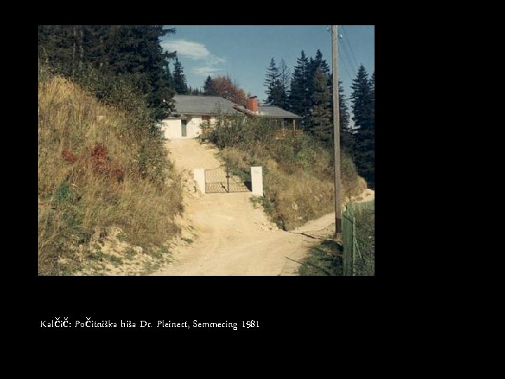 Kalčič: Počitniška hiša Dr. Pleinert, Semmering 1981 