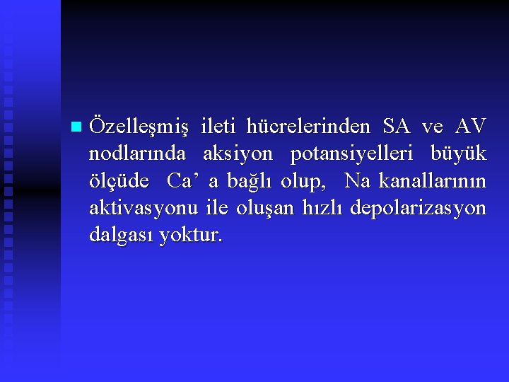 n Özelleşmiş ileti hücrelerinden SA ve AV nodlarında aksiyon potansiyelleri büyük ölçüde Ca’ a