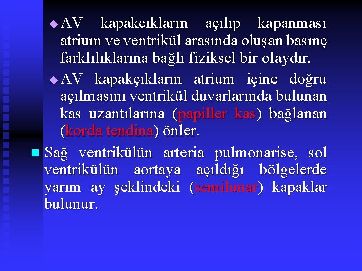 AV kapakcıkların açılıp kapanması atrium ve ventrikül arasında oluşan basınç farklılıklarına bağlı fiziksel bir