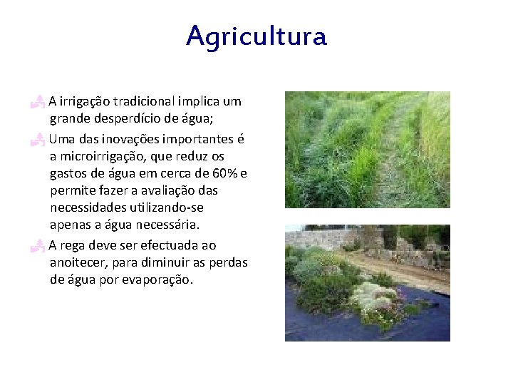 Agricultura A irrigação tradicional implica um grande desperdício de água; Uma das inovações importantes