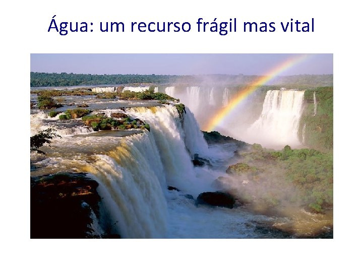 Água: um recurso frágil mas vital 