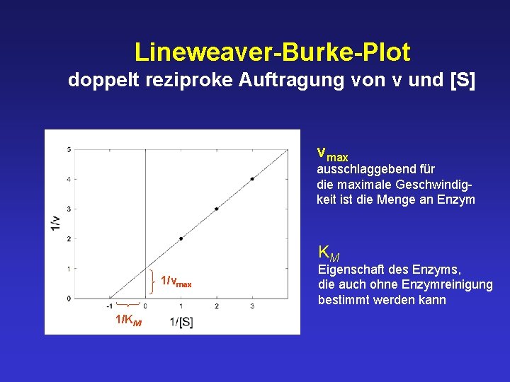 Lineweaver-Burke-Plot doppelt reziproke Auftragung von v und [S] vmax ausschlaggebend für die maximale Geschwindigkeit