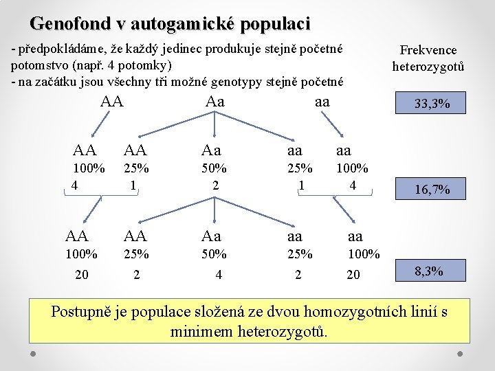 Genofond v autogamické populaci - předpokládáme, že každý jedinec produkuje stejně početné potomstvo (např.
