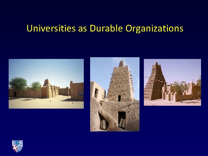 Universities as Durable Organizations 