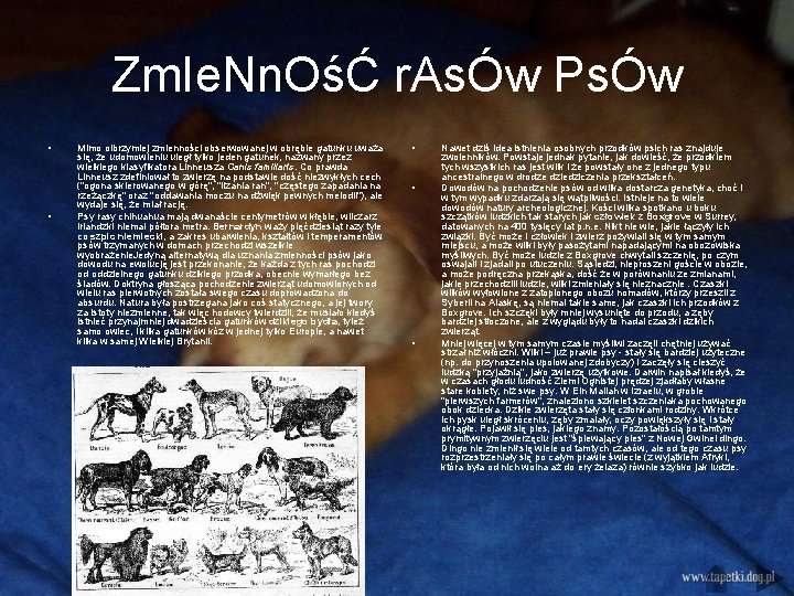 Zm. Ie. Nn. OśĆ r. AsÓw PsÓw • • Mimo olbrzymiej zmienności obserwowanej w