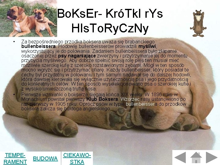 Bo. Ks. Er- KróTk. I r. Ys HIs. To. Ry. Cz. Ny • • Bo. Ks. Er- KróTk. I r. Ys HIs. To. Ry. Cz. Ny • •