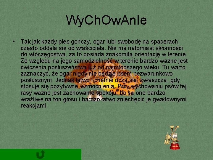 Wy. Ch. Ow. An. Ie • Tak jak każdy pies gończy, ogar lubi swobodę