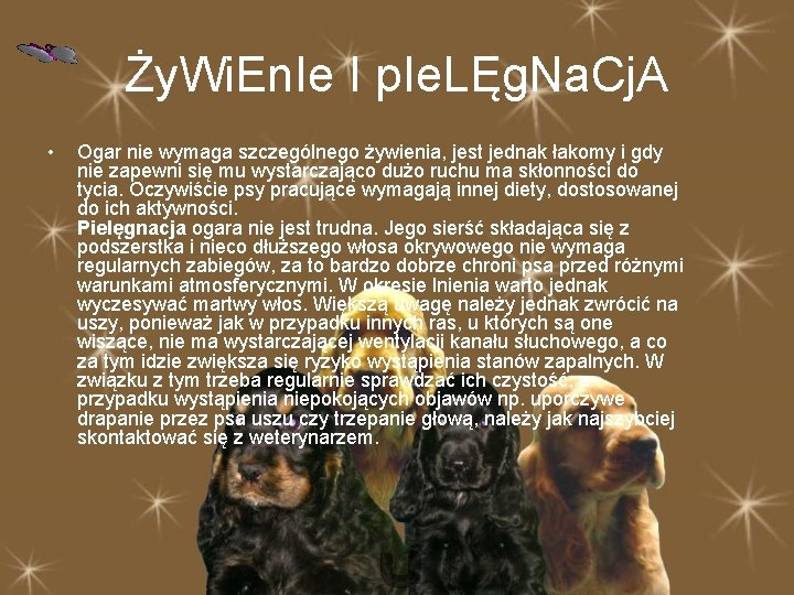 Ży. Wi. En. Ie I p. Ie. LĘg. Na. Cj. A • Ogar nie