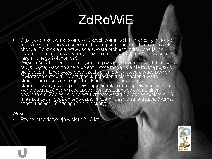 Zd. Ro. Wi. E • Ogar jako rasa wyhodowana w naszych warunkach klimatycznych jest Zd. Ro. Wi. E • Ogar jako rasa wyhodowana w naszych warunkach klimatycznych jest