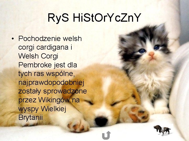 Ry. S Hi. St. Or. Yc. Zn. Y • Pochodzenie welsh corgi cardigana i