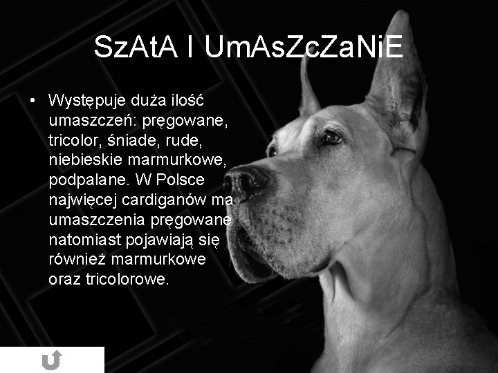 Sz. At. A I Um. As. Zc. Za. Ni. E • Występuje duża ilość Sz. At. A I Um. As. Zc. Za. Ni. E • Występuje duża ilość