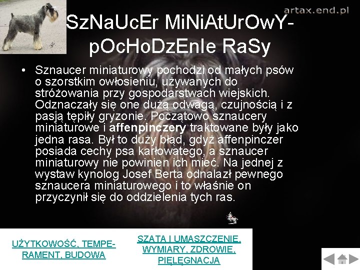 Sz. Na. Uc. Er Mi. Ni. At. Ur. Ow. Yp. Oc. Ho. Dz. En. Sz. Na. Uc. Er Mi. Ni. At. Ur. Ow. Yp. Oc. Ho. Dz. En.