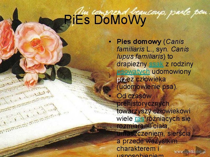 Pi. Es Do. Mo. Wy • Pies domowy (Canis familiaris L. , syn. Canis