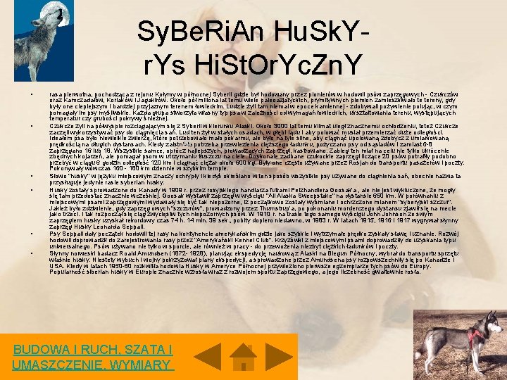 Sy. Be. Ri. An Hu. Sk. Yr. Ys Hi. St. Or. Yc. Zn. Y Sy. Be. Ri. An Hu. Sk. Yr. Ys Hi. St. Or. Yc. Zn. Y