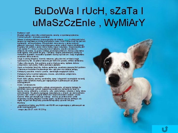 Bu. Do. Wa I r. Uc. H, s. Za. Ta I u. Ma. Sz.