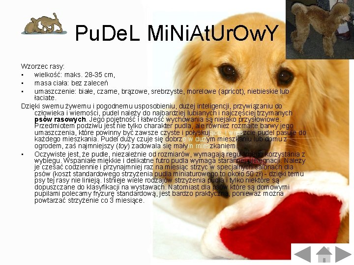 Pu. De. L Mi. Ni. At. Ur. Ow. Y Wzorzec rasy: • wielkość: maks. Pu. De. L Mi. Ni. At. Ur. Ow. Y Wzorzec rasy: • wielkość: maks.