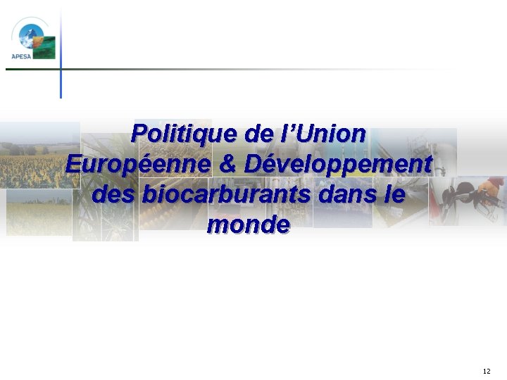 Politique de l’Union Européenne & Développement des biocarburants dans le monde 12 
