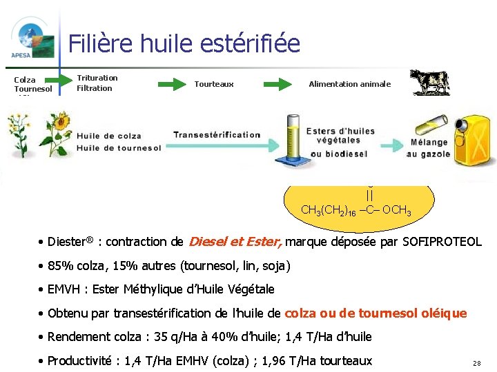 Filière huile estérifiée Colza Tournesol oléïque [Source IFP] Trituration Filtration Dégommage, décirage Tourteaux Alimentation