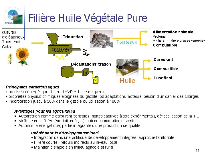 Filière Huile Végétale Pure cultures d’oléagineux Tournesol Colza Alimentation animale Trituration Tourteaux Protéine Riche