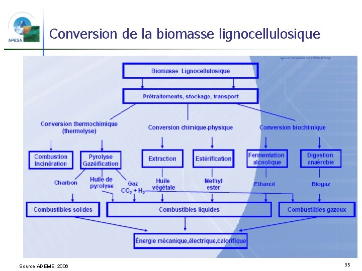 Conversion de la biomasse lignocellulosique Source ADEME, 2006 35 