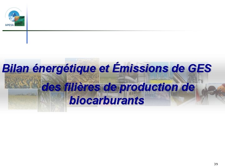 Bilan énergétique et Émissions de GES Production de biocarburants et surfaces agricoles des filières