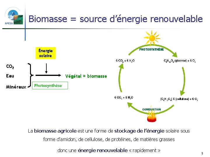 Biomasse = source d’énergie renouvelable Énergie solaire CO 2 Eau Minéraux Végétal = biomasse