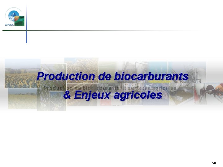 Production de biocarburants et surfaces agricoles & Enjeux agricoles 50 
