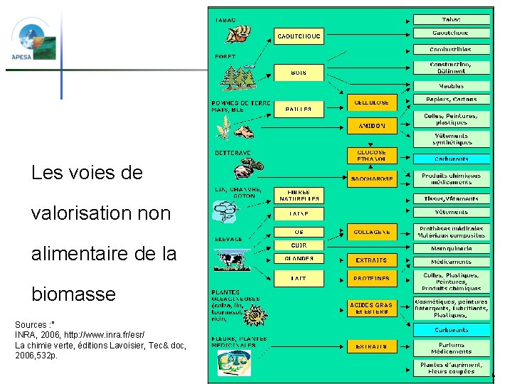 Les voies de valorisation non alimentaire de la biomasse Sources : ° INRA, 2006,