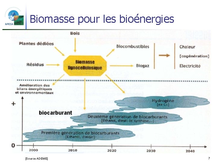 Biomasse pour les bioénergies biocarburant [Source ADEME] 7 