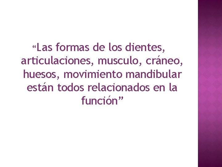 “Las formas de los dientes, articulaciones, musculo, cráneo, huesos, movimiento mandibular están todos relacionados