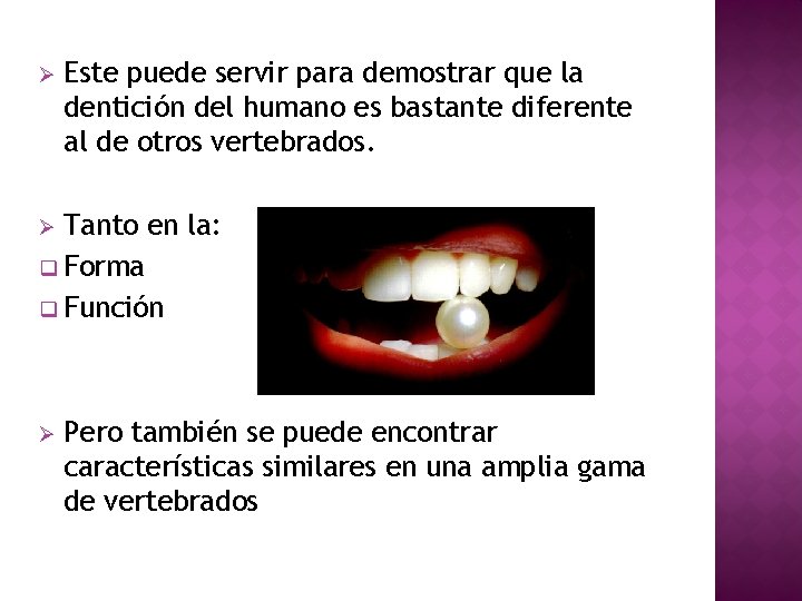 Ø Este puede servir para demostrar que la dentición del humano es bastante diferente