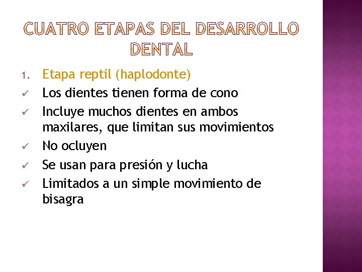 1. ü ü ü Etapa reptil (haplodonte) Los dientes tienen forma de cono Incluye