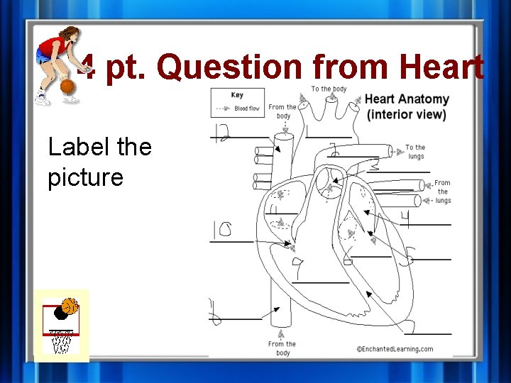 4 pt. Question from Heart Label the picture 