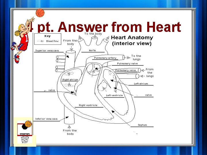 4 pt. Answer from Heart 