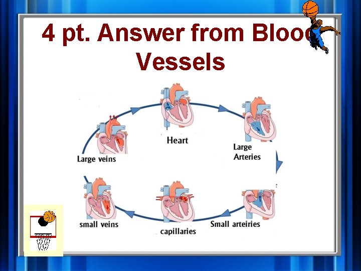 4 pt. Answer from Blood Vessels 4 pt. Answer from Blood Vessels