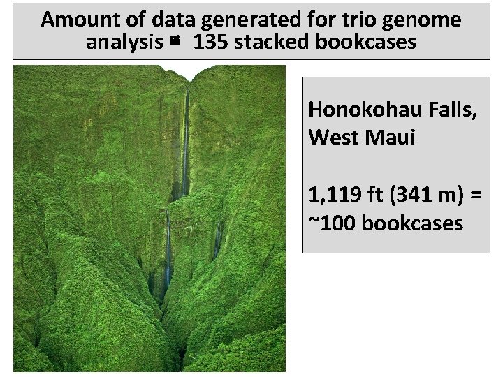 Amount of data generated for trio genome analysis ≅ 135 stacked bookcases Honokohau Falls,
