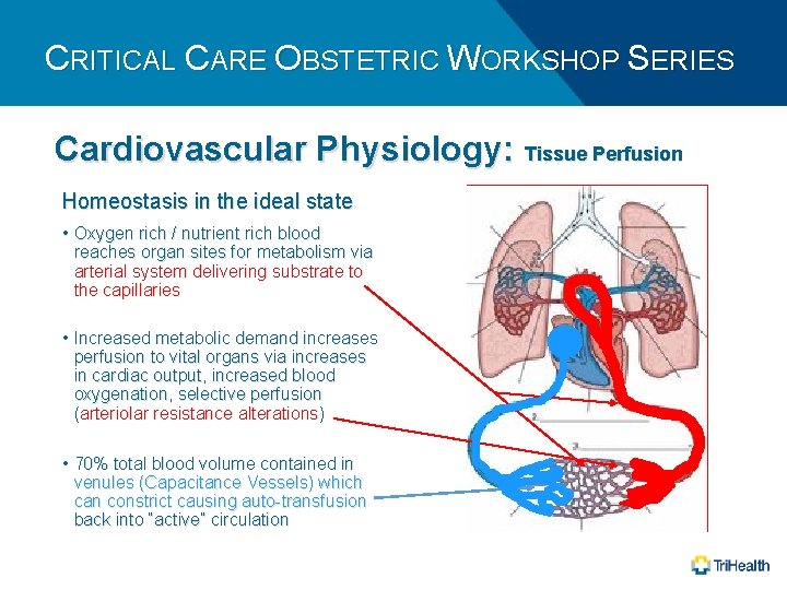 CRITICAL CARE OBSTETRIC WORKSHOP SERIES Cardiovascular Physiology: Tissue Perfusion Homeostasis in the ideal state