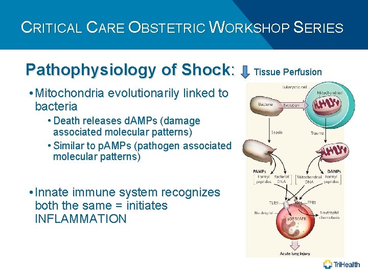 CRITICAL CARE OBSTETRIC WORKSHOP SERIES Pathophysiology of Shock: • Mitochondria evolutionarily linked to bacteria