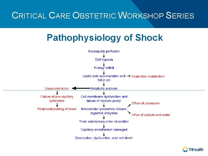 CRITICAL CARE OBSTETRIC WORKSHOP SERIES Pathophysiology of Shock 