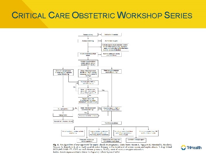 CRITICAL CARE OBSTETRIC WORKSHOP SERIES 