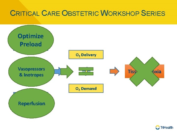 CRITICAL CARE OBSTETRIC WORKSHOP SERIES Optimize Preload Hypotension O 2 Delivery Vasopressors & Inotropes