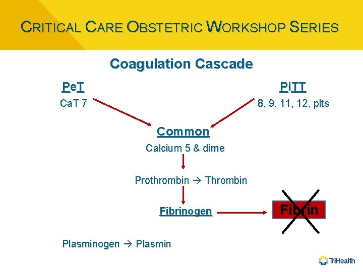 CRITICAL CARE OBSTETRIC WORKSHOP SERIES Coagulation Cascade P e. T Pi. TT Ca. T