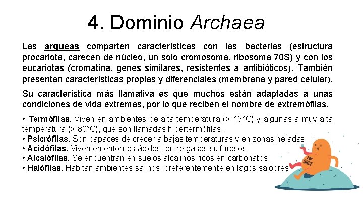 4. Dominio Archaea Las arqueas comparten características con las bacterias (estructura procariota, carecen de