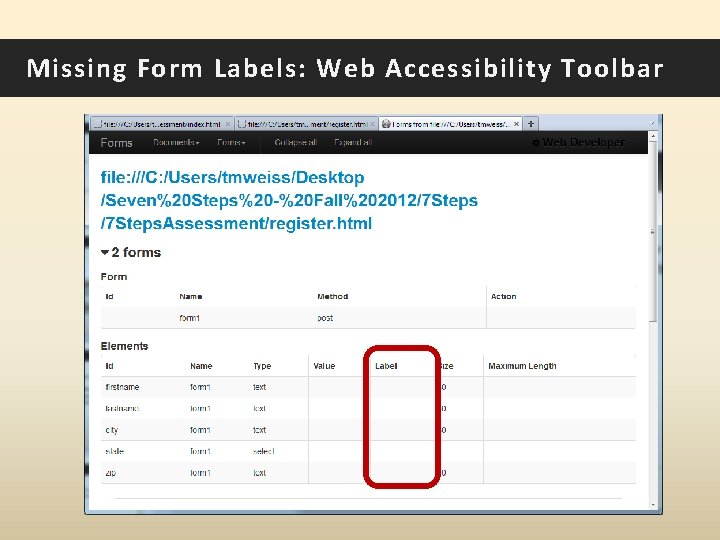 Missing Form Labels: Web Accessibility Toolbar 