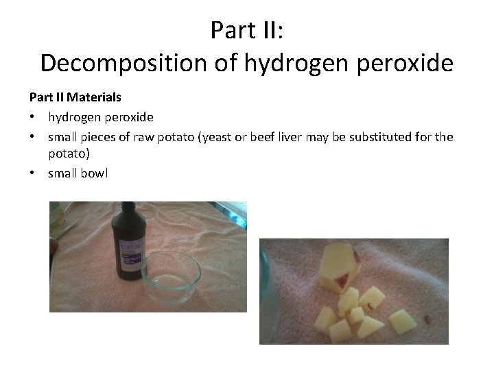 Part II: Decomposition of hydrogen peroxide Part II Materials • hydrogen peroxide • small