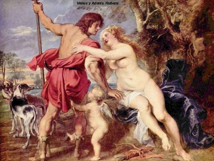 Venus y Adonis. Rubens 